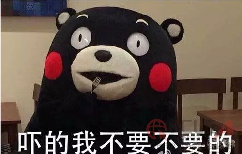 图片1 副本.JPG