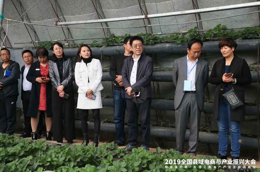 参观草莓基地.jpg